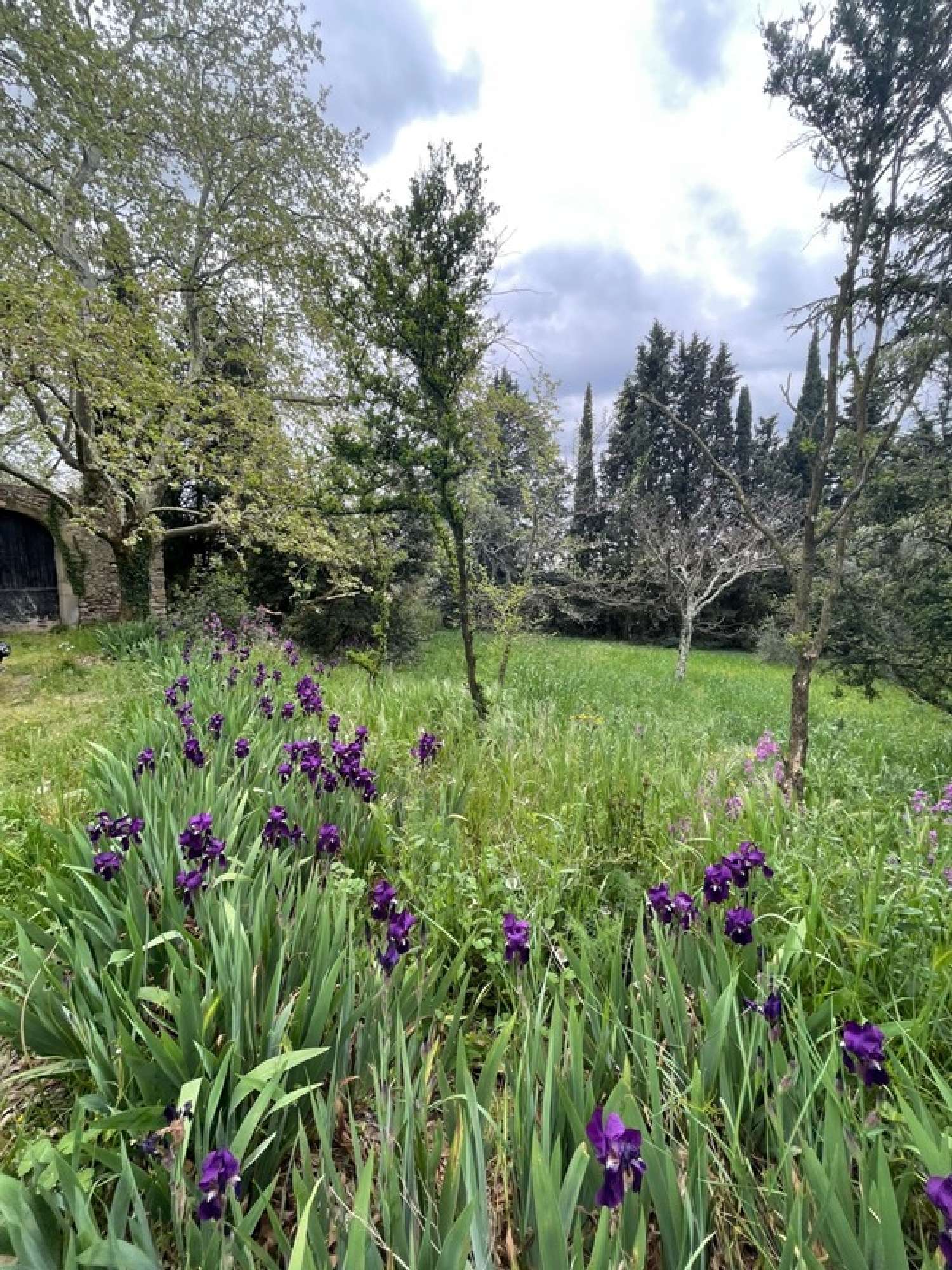  kaufen Haus Alès Gard 7