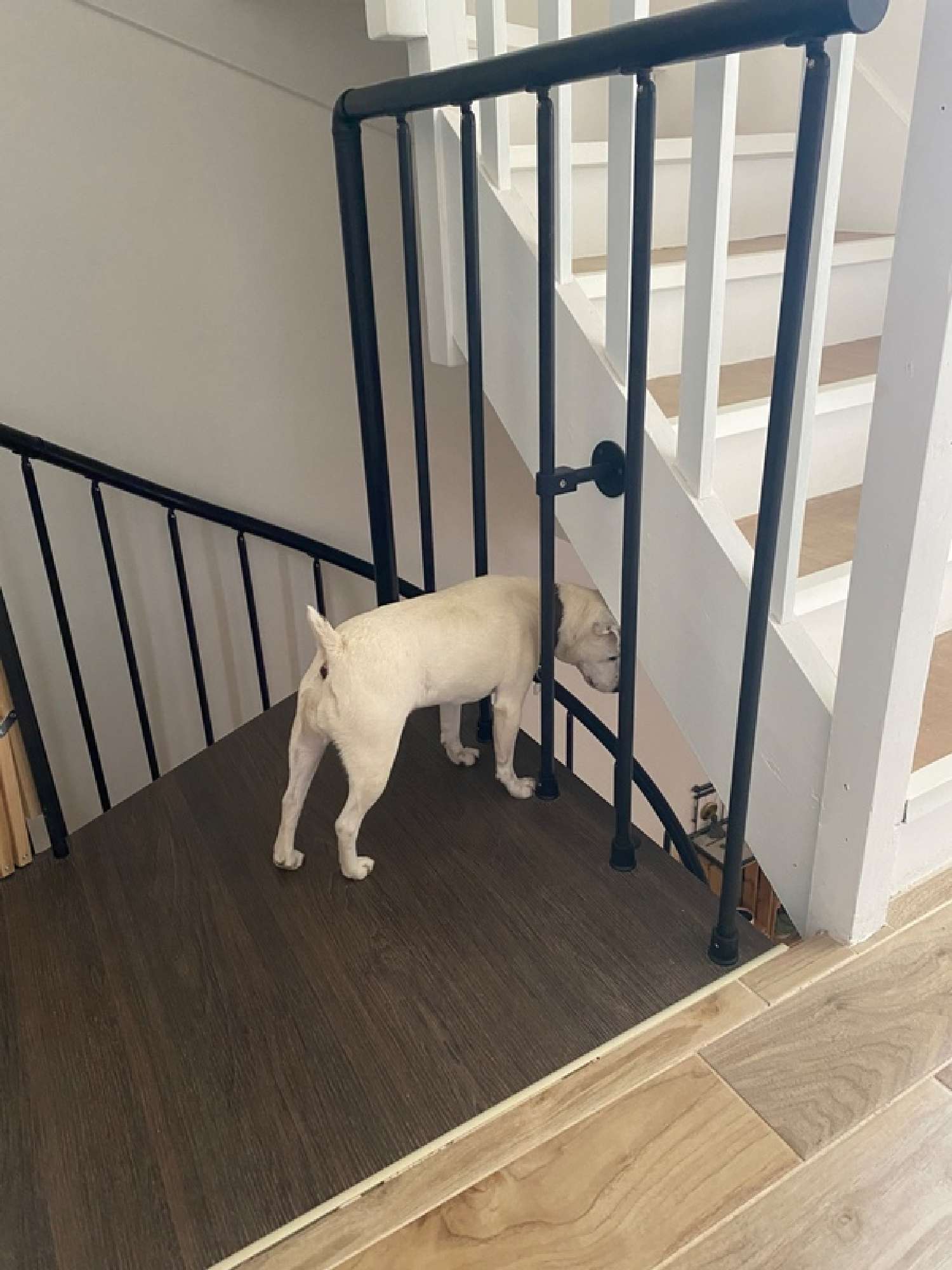  te koop huis Allauch Bouches-du-Rhône 8