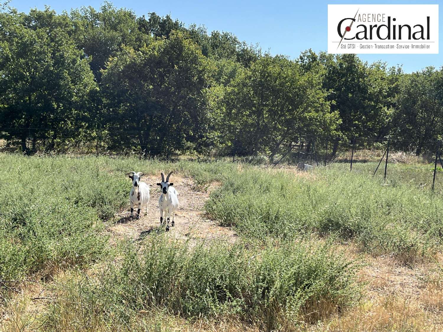  for sale house Alleins Bouches-du-Rhône 5