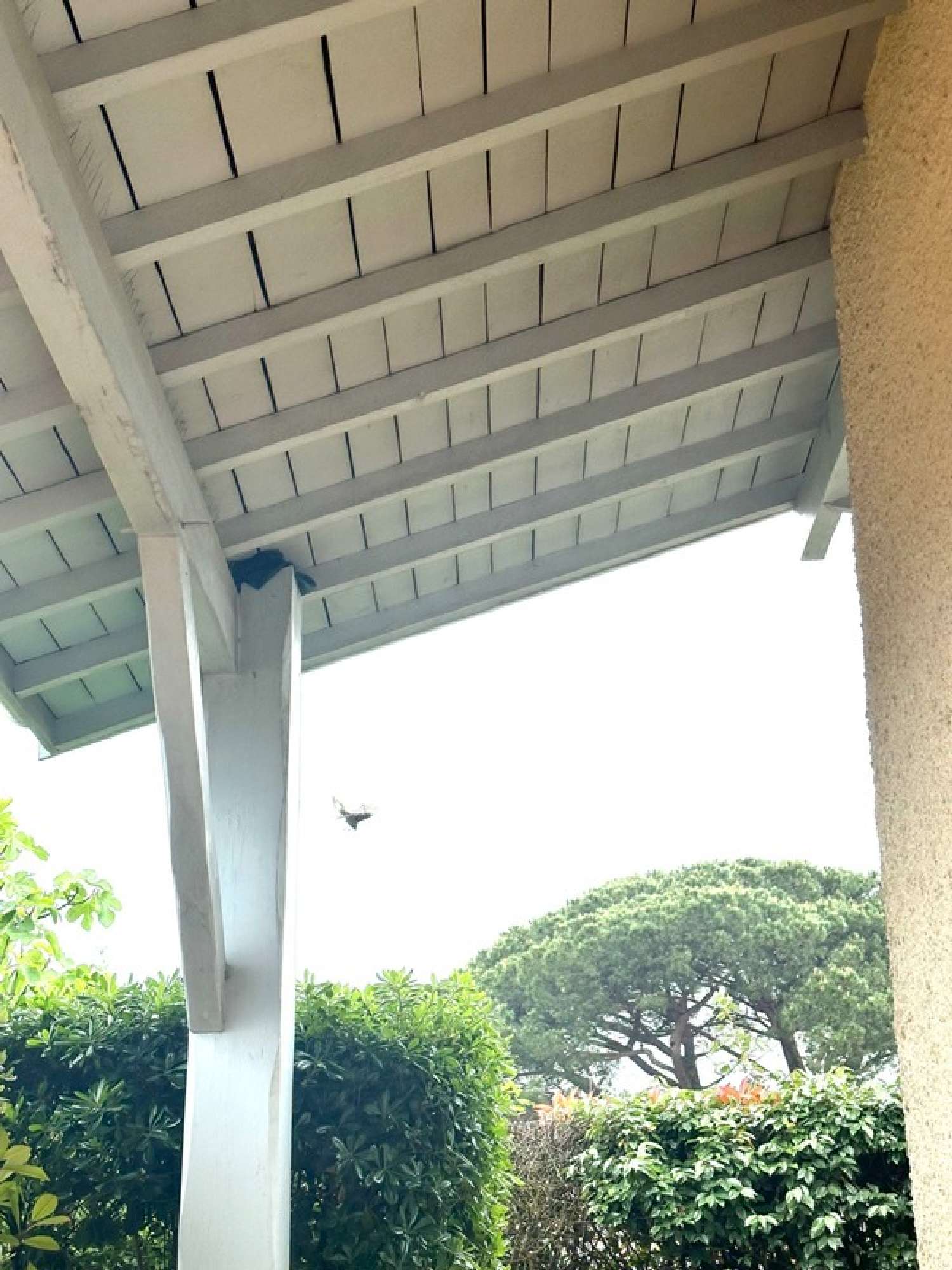  kaufen Haus Andernos-les-Bains Gironde 5