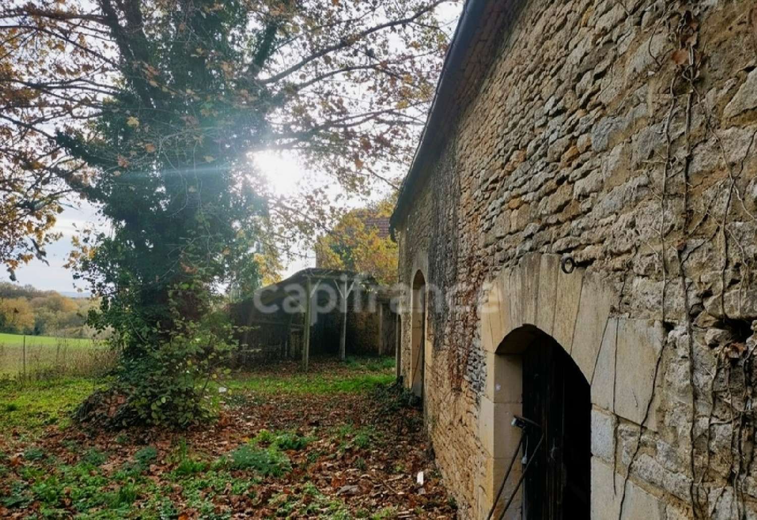 for sale house Archignac Dordogne 6