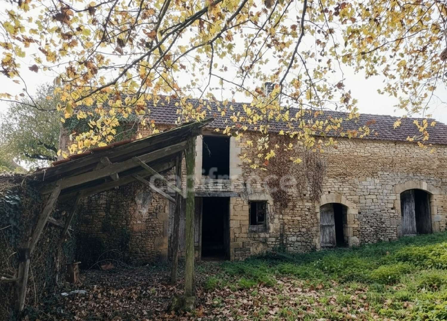  kaufen Haus Archignac Dordogne 5