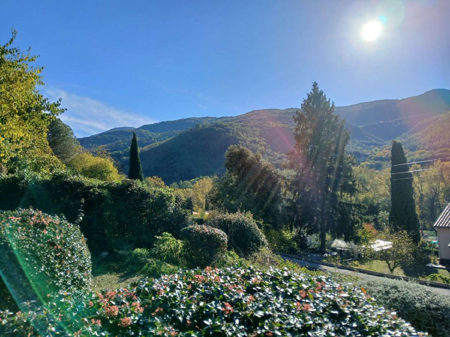  te koop huis Arles-sur-Tech Pyrénées-Orientales 2