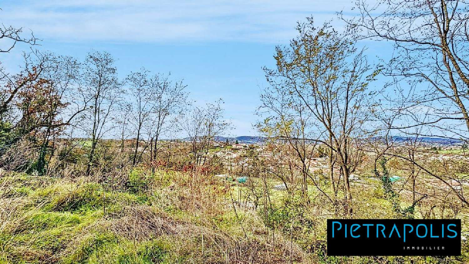  for sale house Arnas Rhône 4