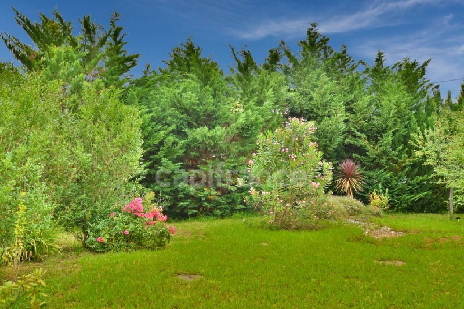  à vendre maison Ascain Pyrénées-Atlantiques 3