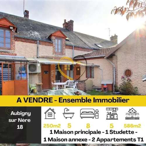 Aubigny-sur-Nère Cher casa foto 7172832