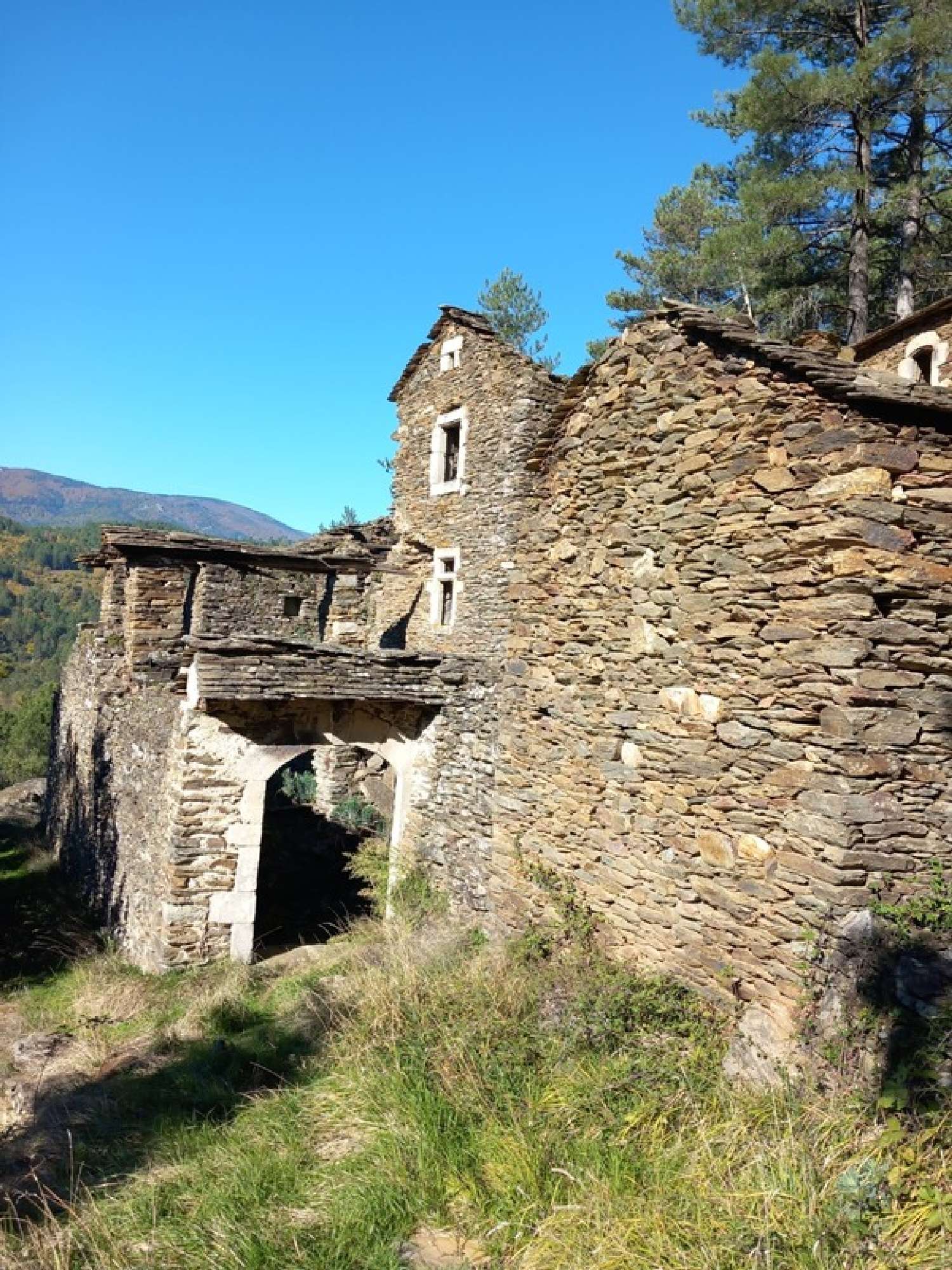 for sale house Aujac Gard 1