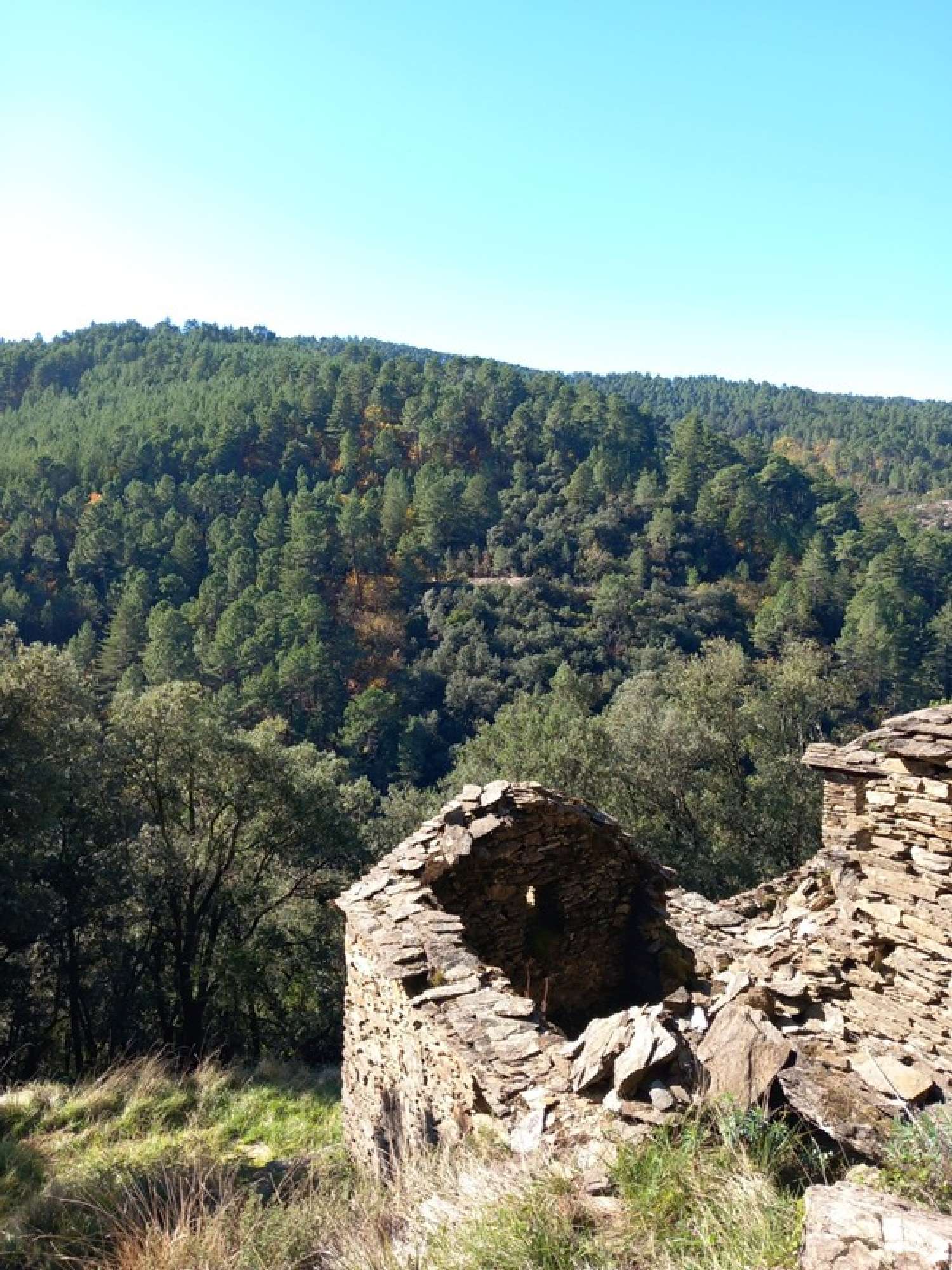 for sale house Aujac Gard 2