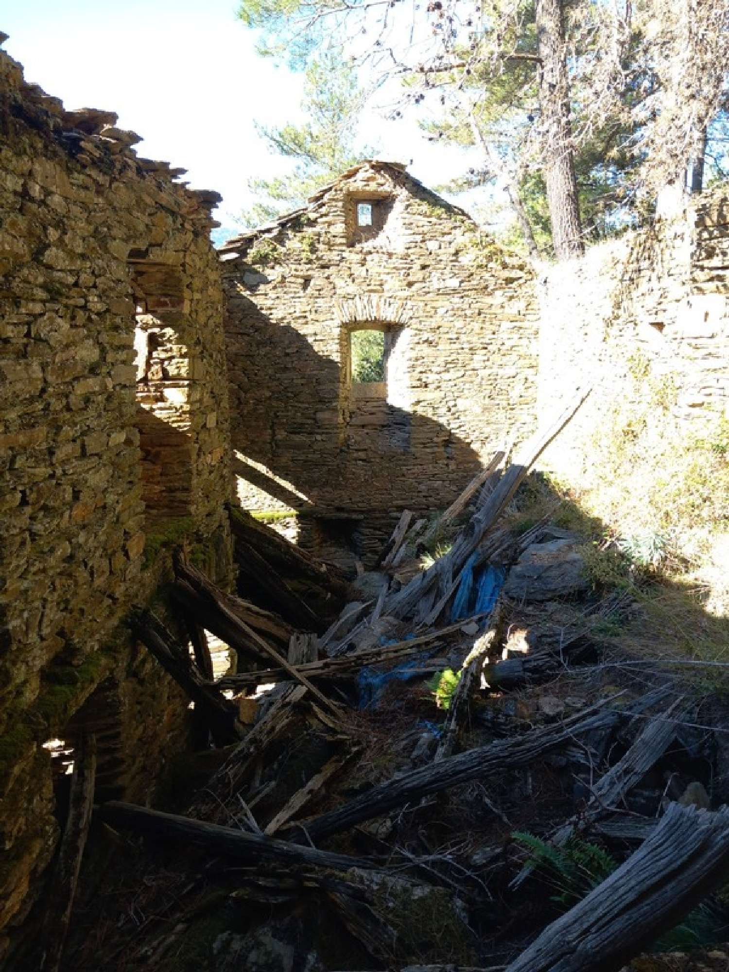 for sale house Aujac Gard 3