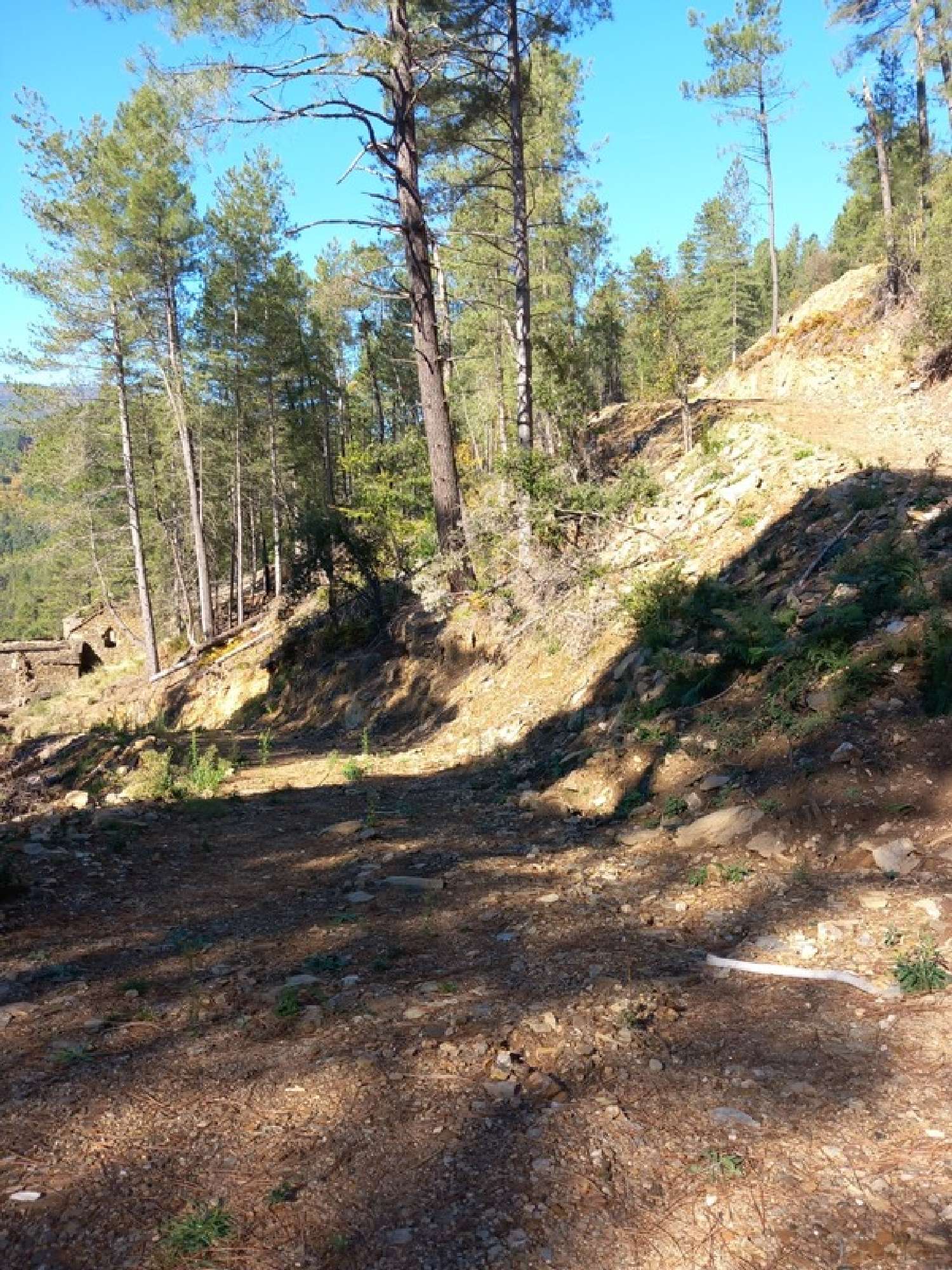 for sale house Aujac Gard 4