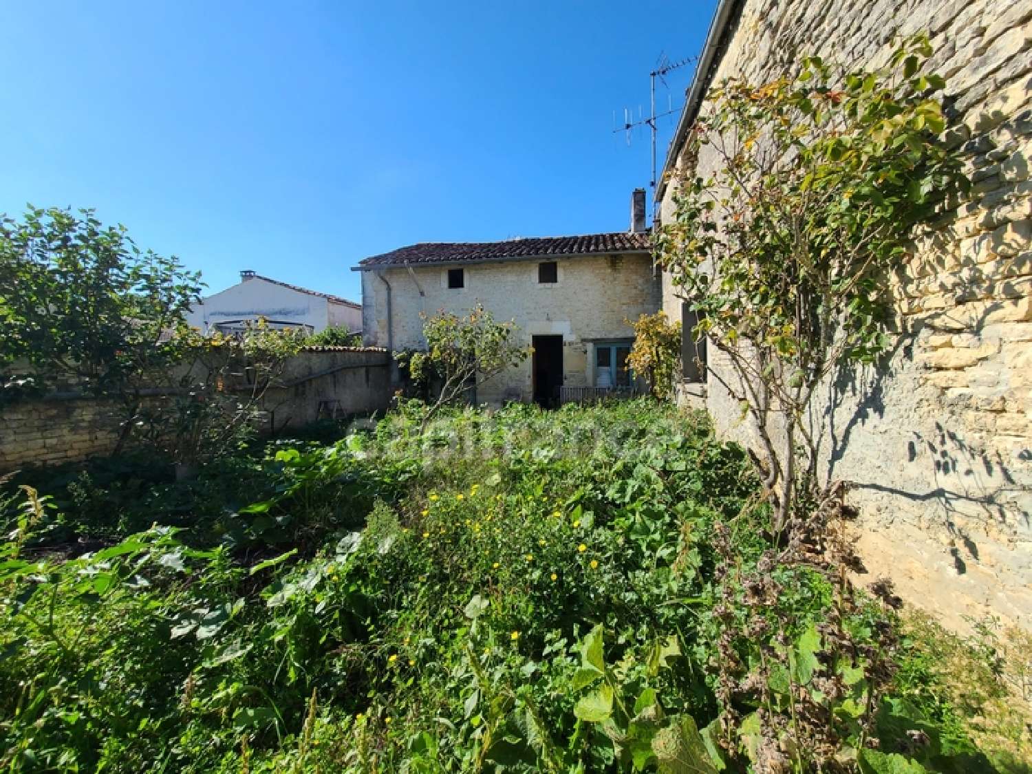  à vendre maison Aumagne Charente-Maritime 2