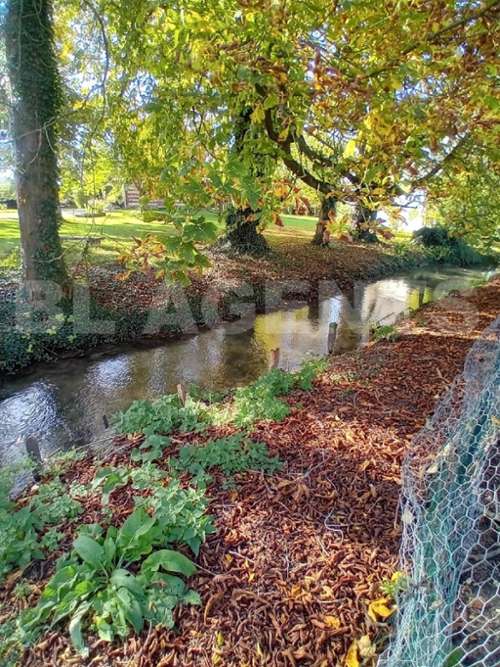 Aumale Seine-Maritime Haus Bild 7199246