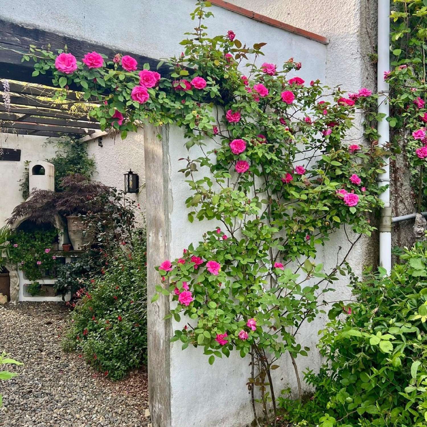 à vendre maison Aurions-Idernes Pyrénées-Atlantiques 5