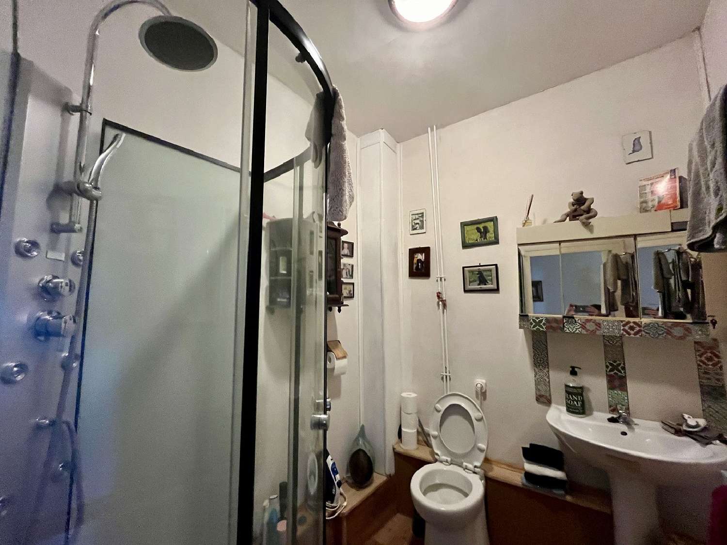 te koop huis Availles-Limouzine Vienne 8