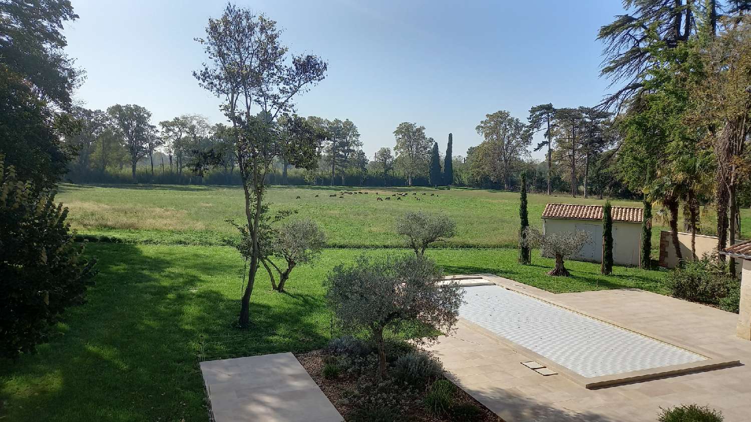  kaufen Haus Avignon Vaucluse 3