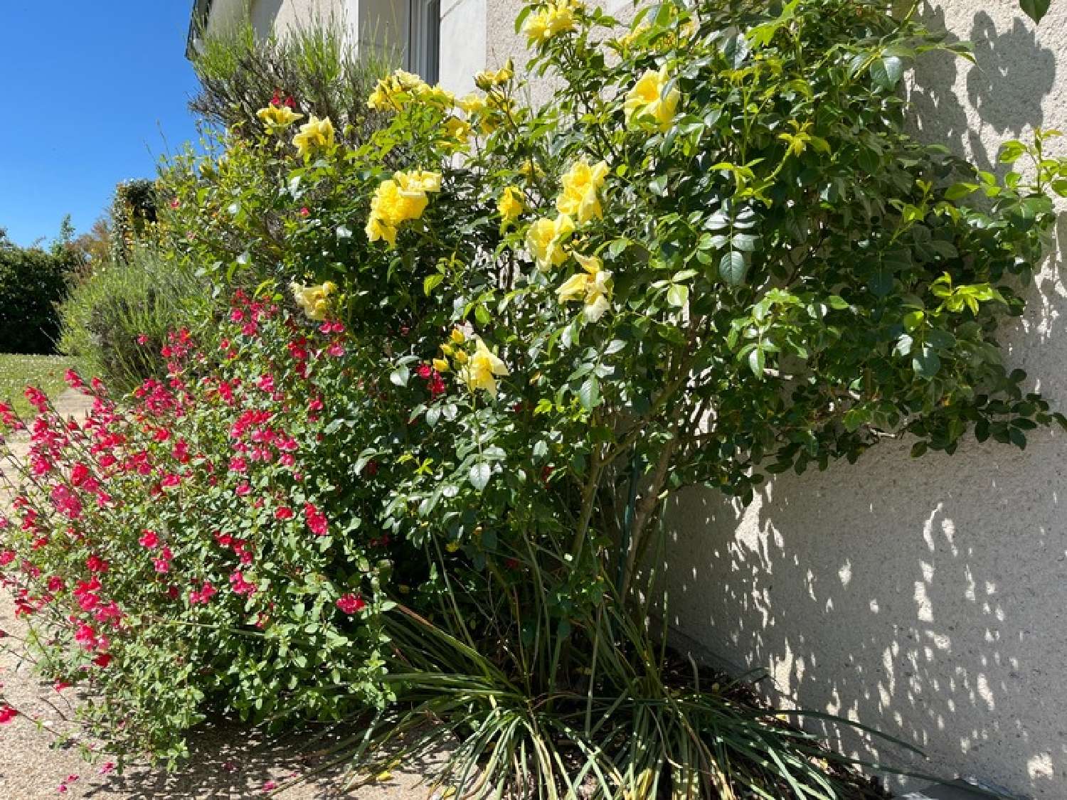  te koop huis Azay-le-Rideau Indre-et-Loire 8