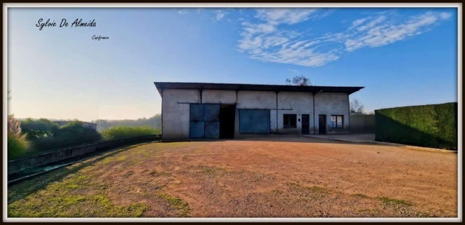 for sale house Bâgé-la-Ville Ain 5