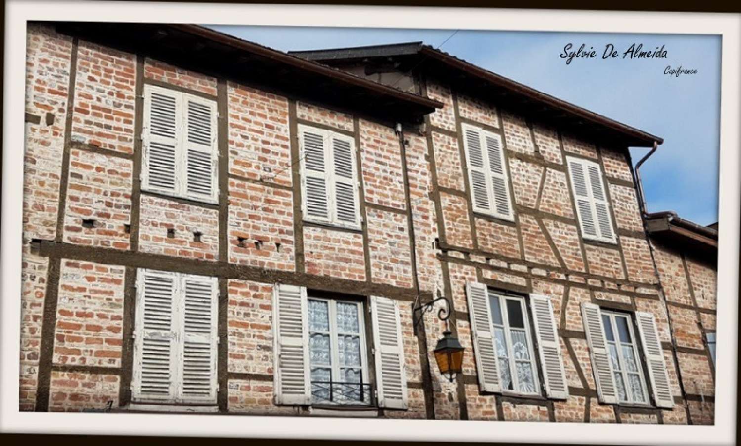 for sale house Bâgé-le-Châtel Ain 2