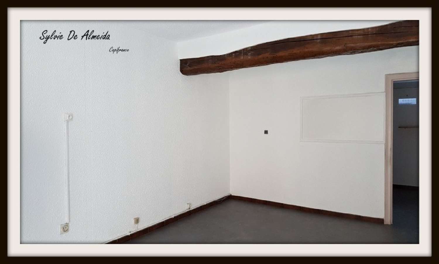 for sale house Bâgé-le-Châtel Ain 3