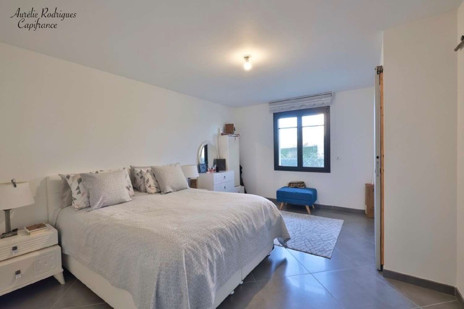 for sale house Bâgé-le-Châtel Ain 6