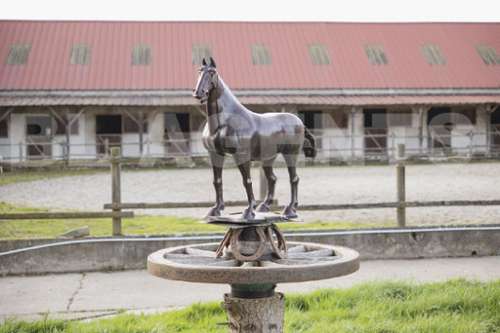 Bassevelle Seine-et-Marne Haus Bild 7201010