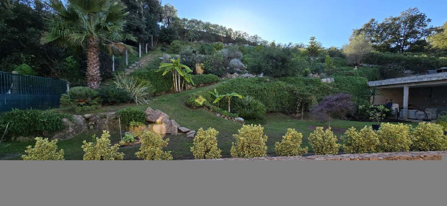  à vendre maison Bastelicaccia Corse-du-Sud 4