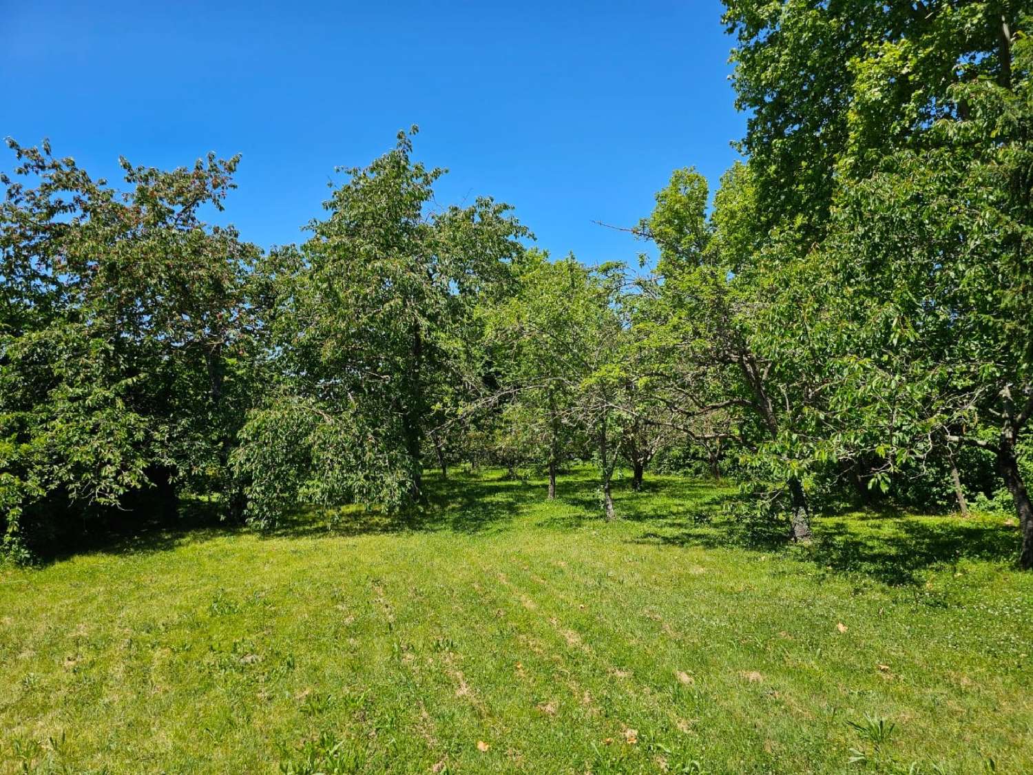 en venta casa Baziège Haute-Garonne 2