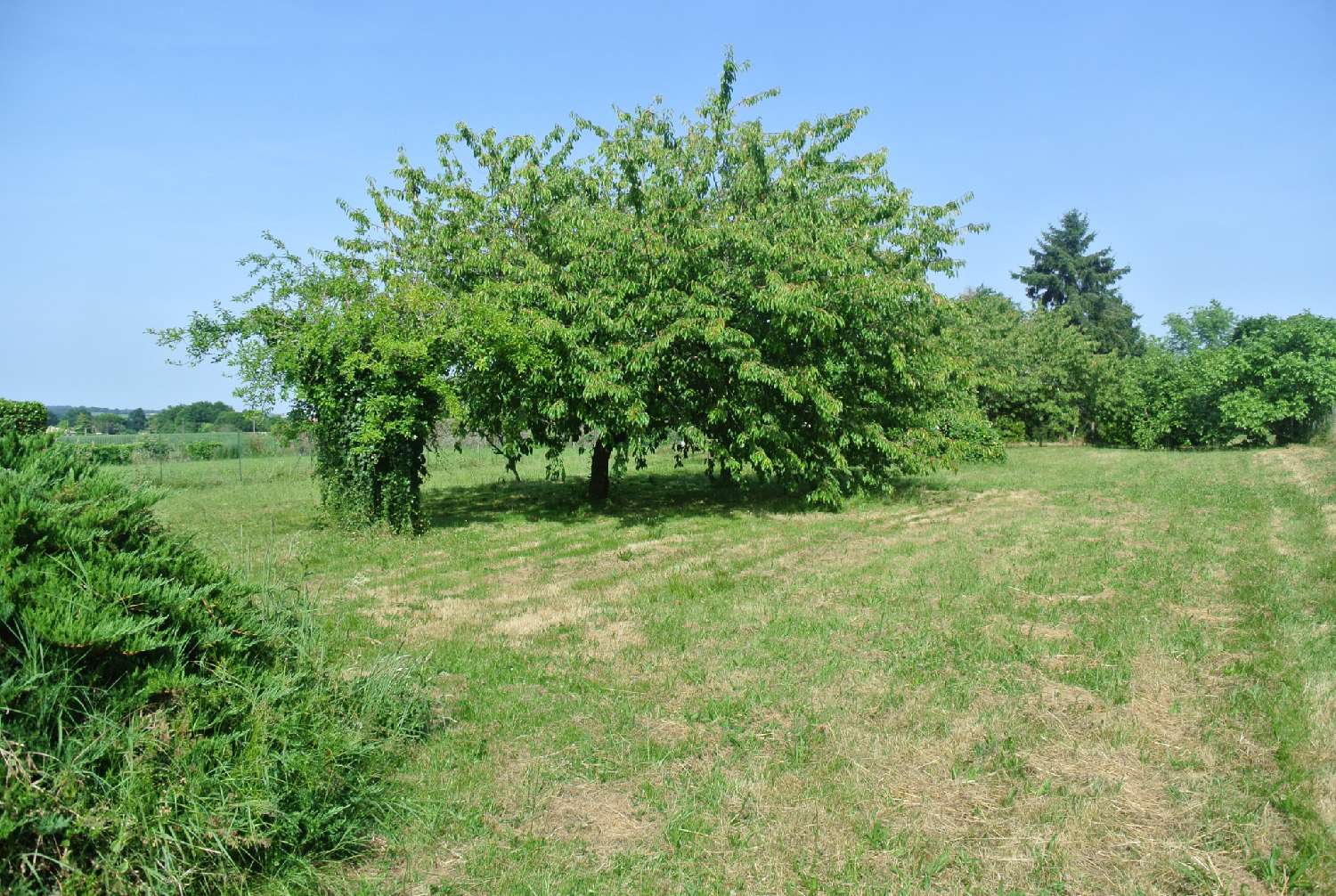  à vendre maison Beaupuy Lot-et-Garonne 3