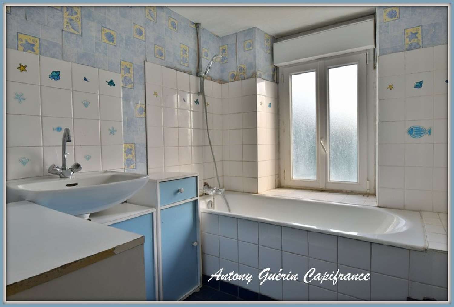 for sale house Beaurepaire Vendée 4