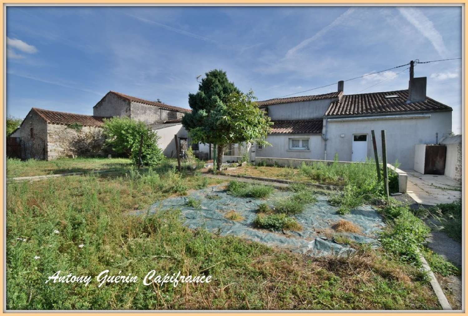 for sale house Beaurepaire Vendée 7