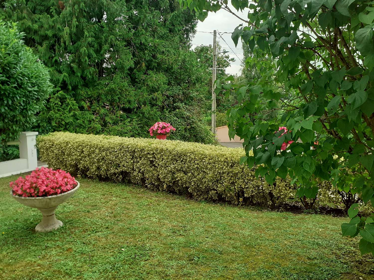  kaufen Haus Bellerive-sur-Allier Allier 8