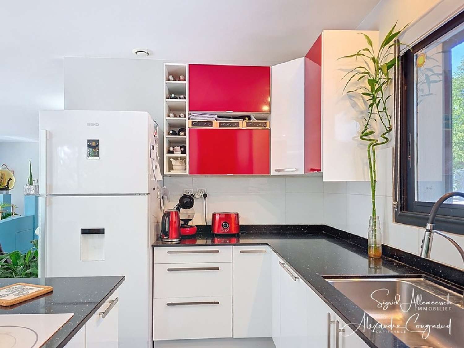 for sale house Belleserre Tarn 4