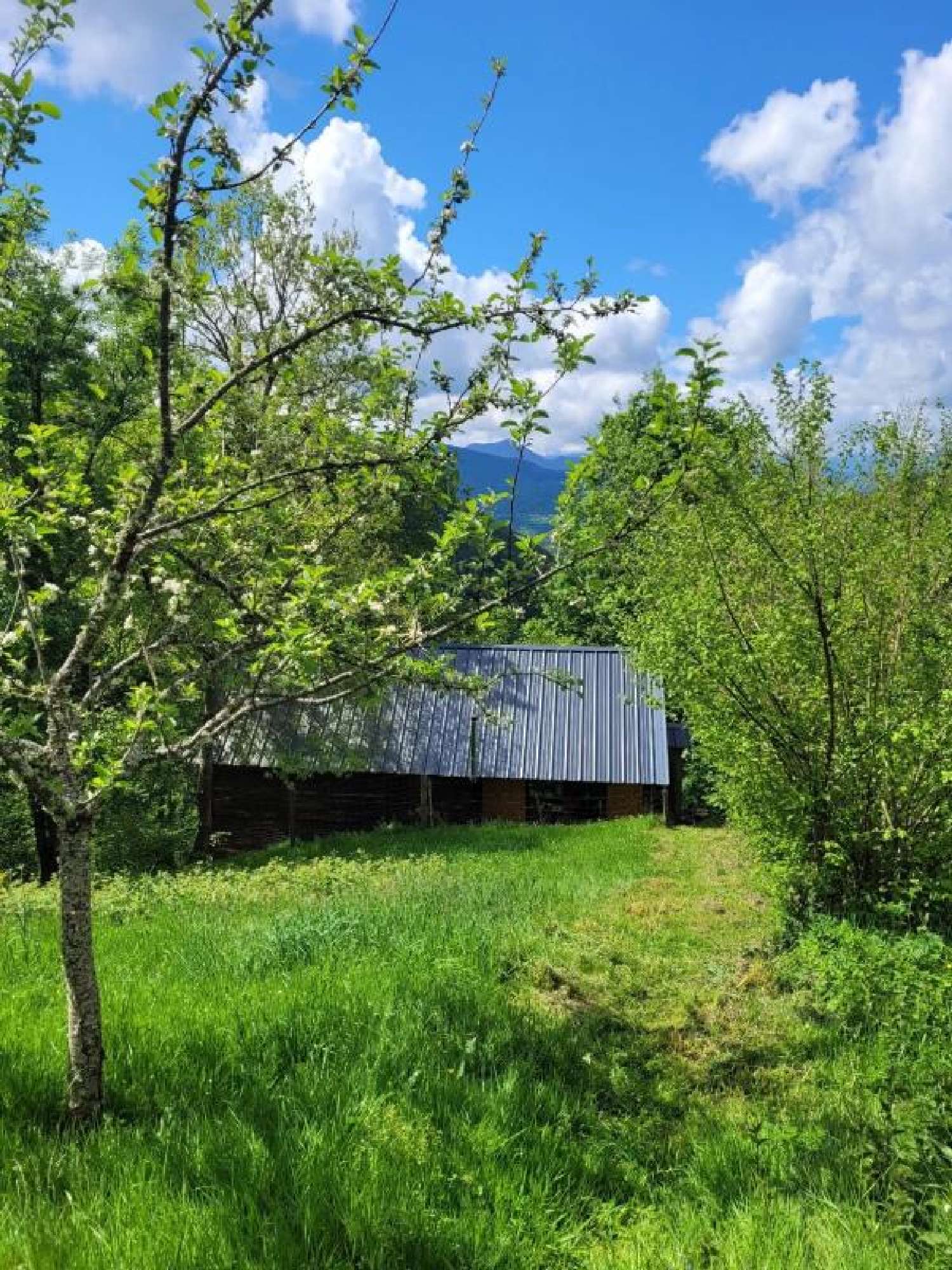  for sale house Biert Ariège 6