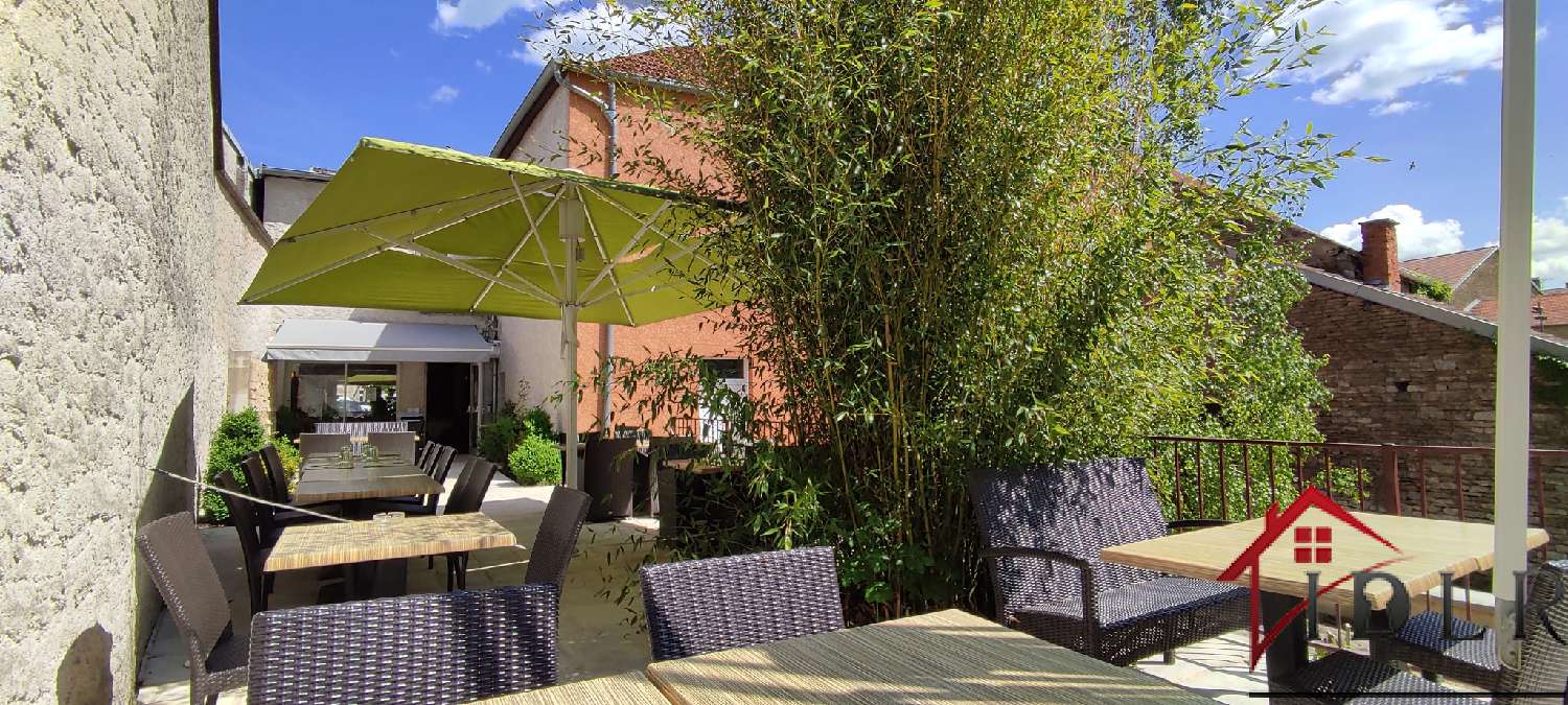 te koop huis Blancheville Haute-Marne 4