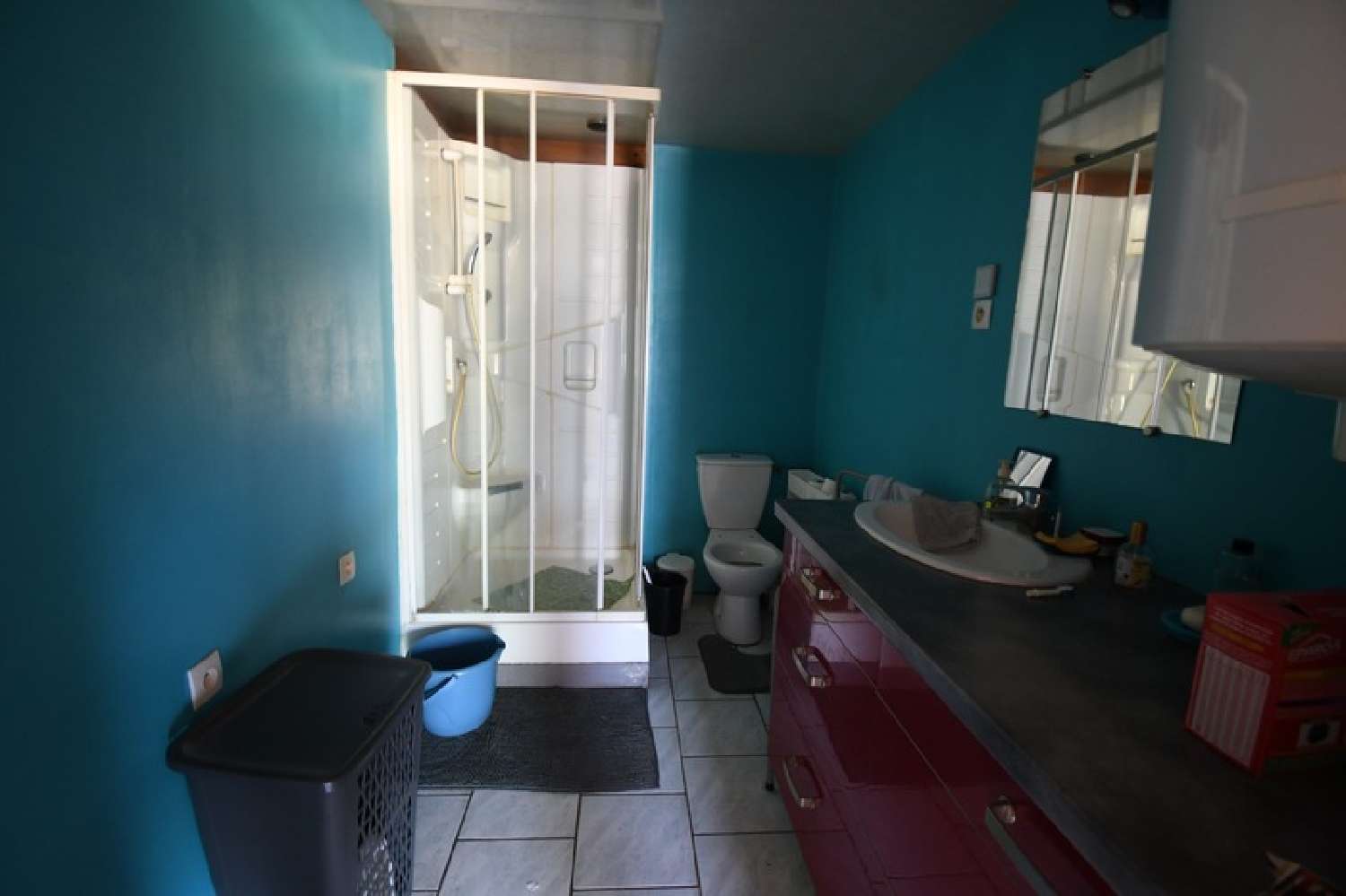 for sale house Bligny-sur-Ouche Côte-d'Or 4