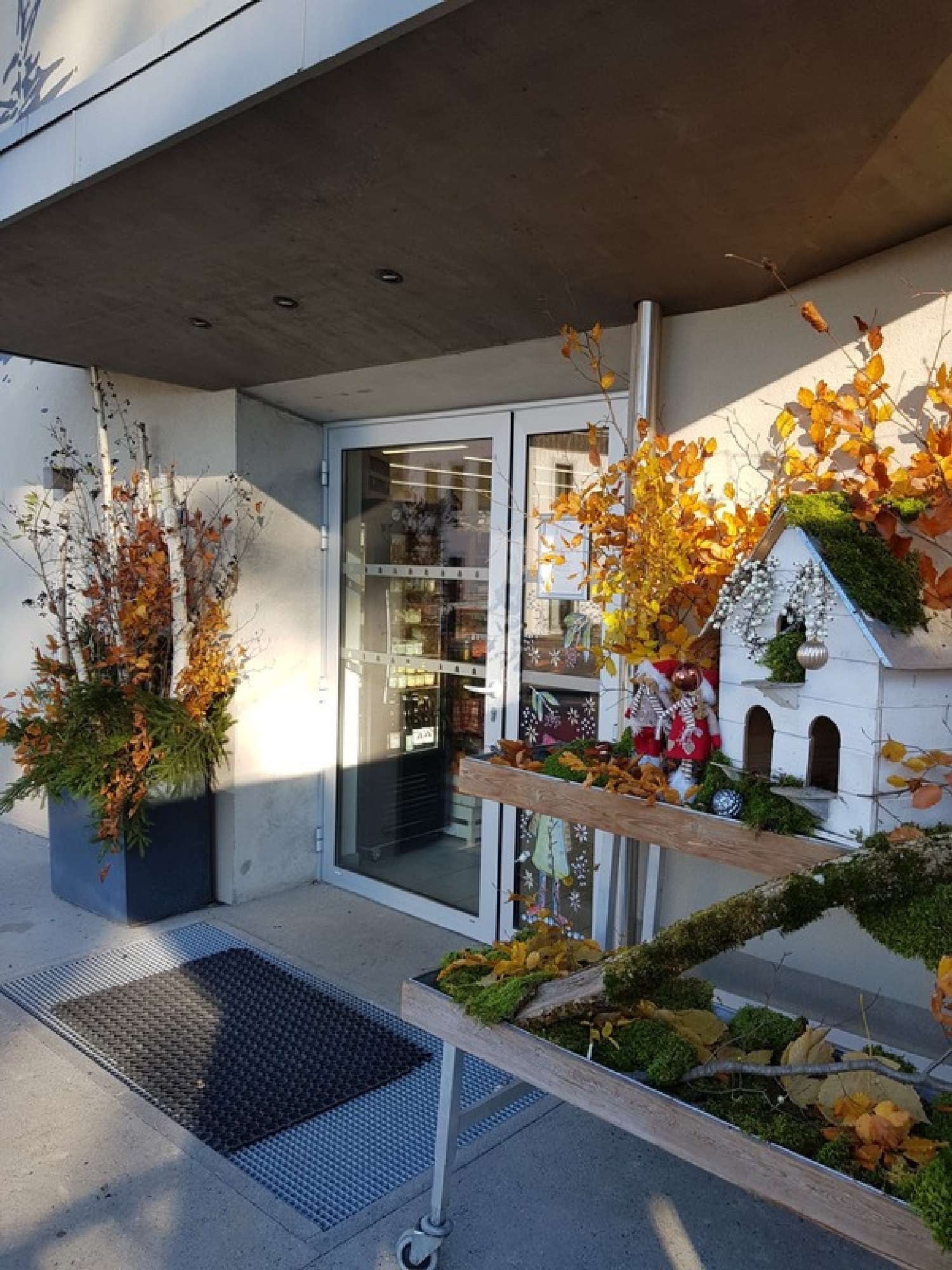 te koop huis Bogève Haute-Savoie 3