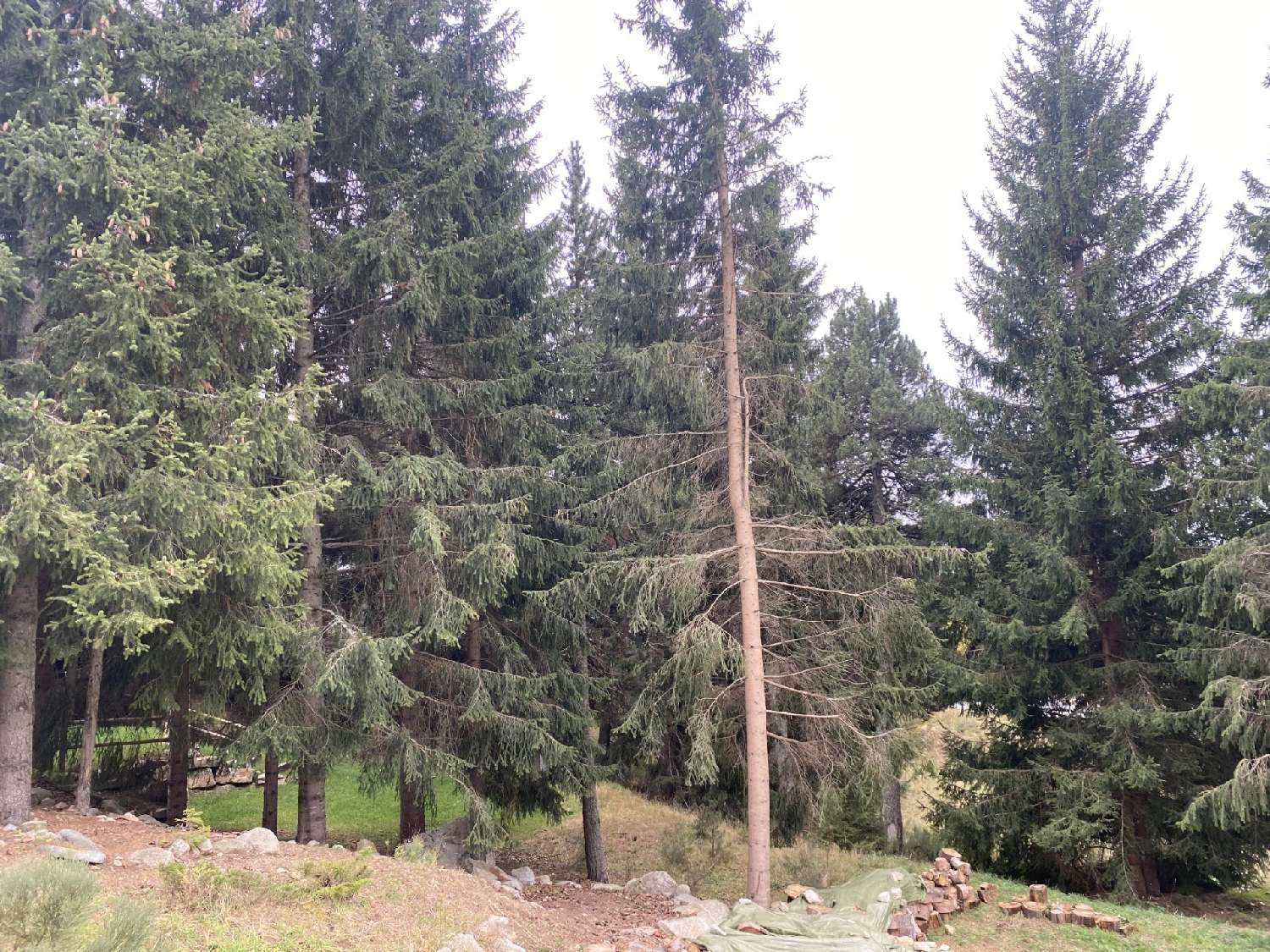 for sale house Bolquère Pyrénées-Orientales 8