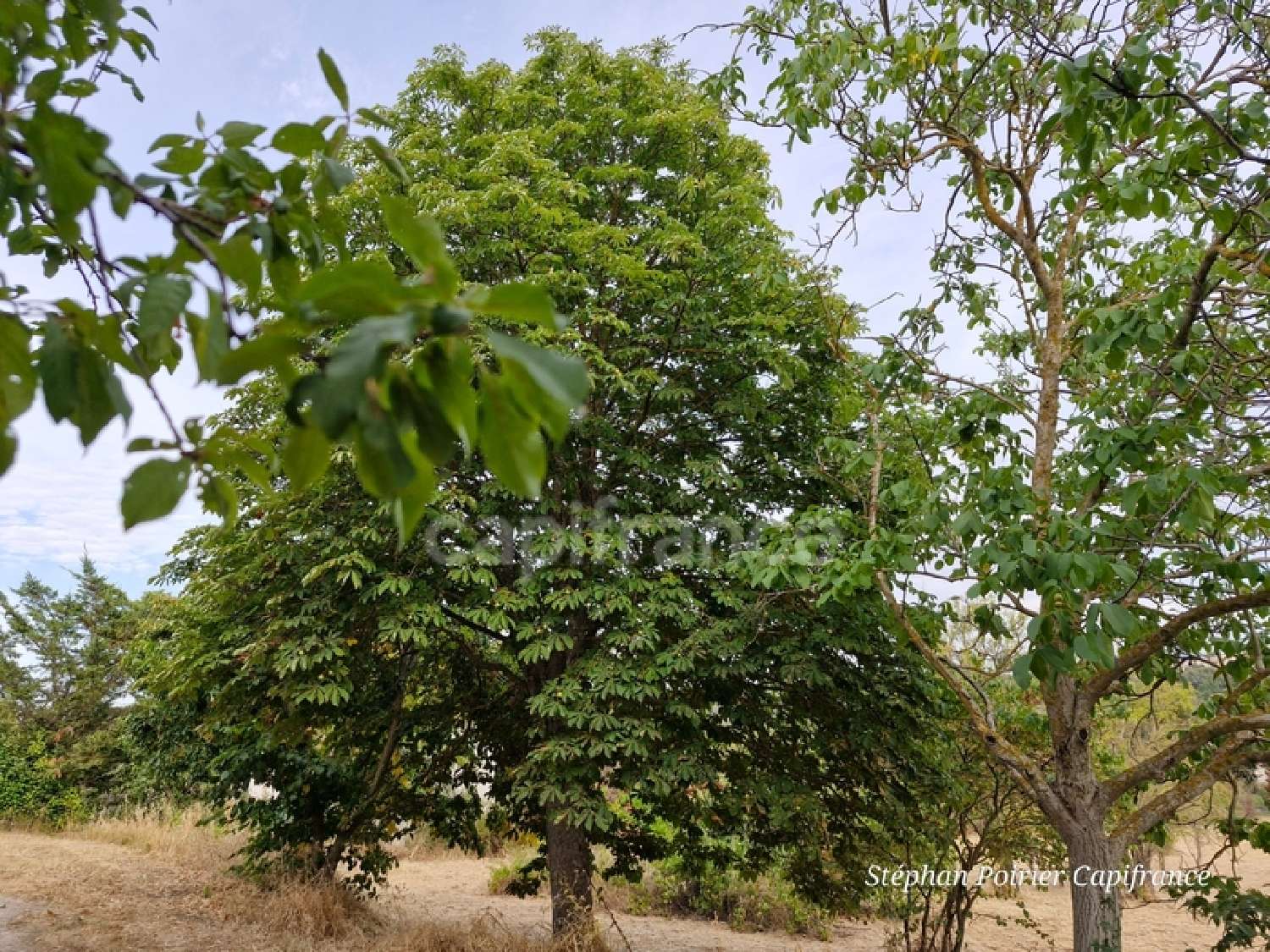  te koop huis Bouc-Bel-Air Bouches-du-Rhône 6