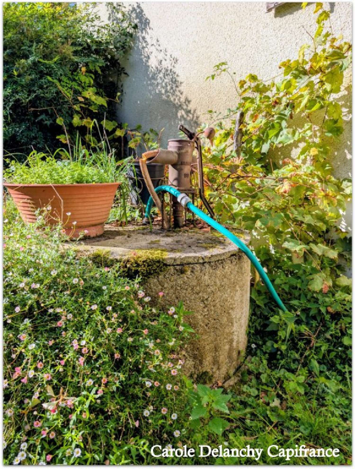 te koop huis Boueilh-Boueilho-Lasque Pyrénées-Atlantiques 7