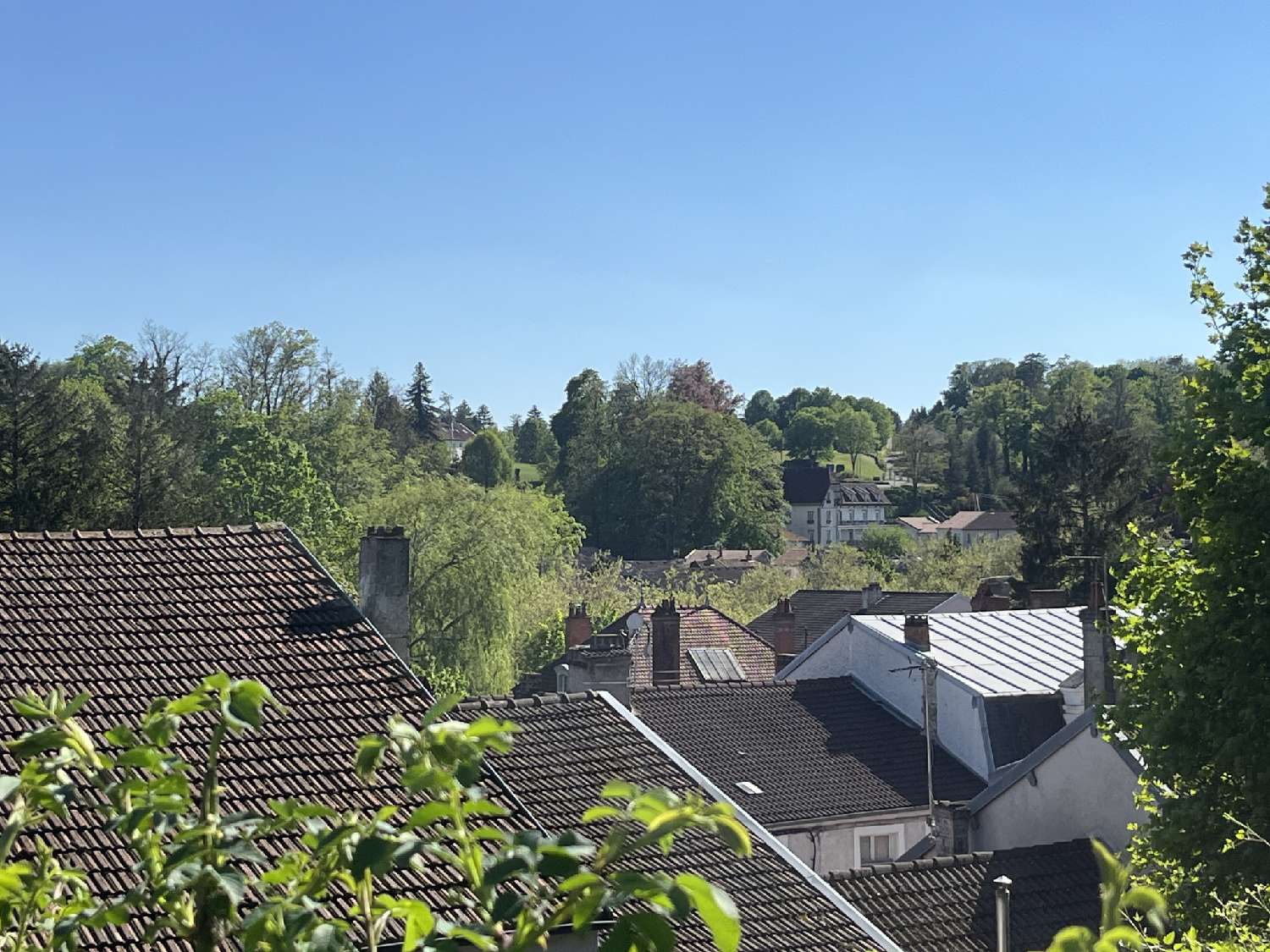 te koop huis Bourbonne-les-Bains Haute-Marne 1