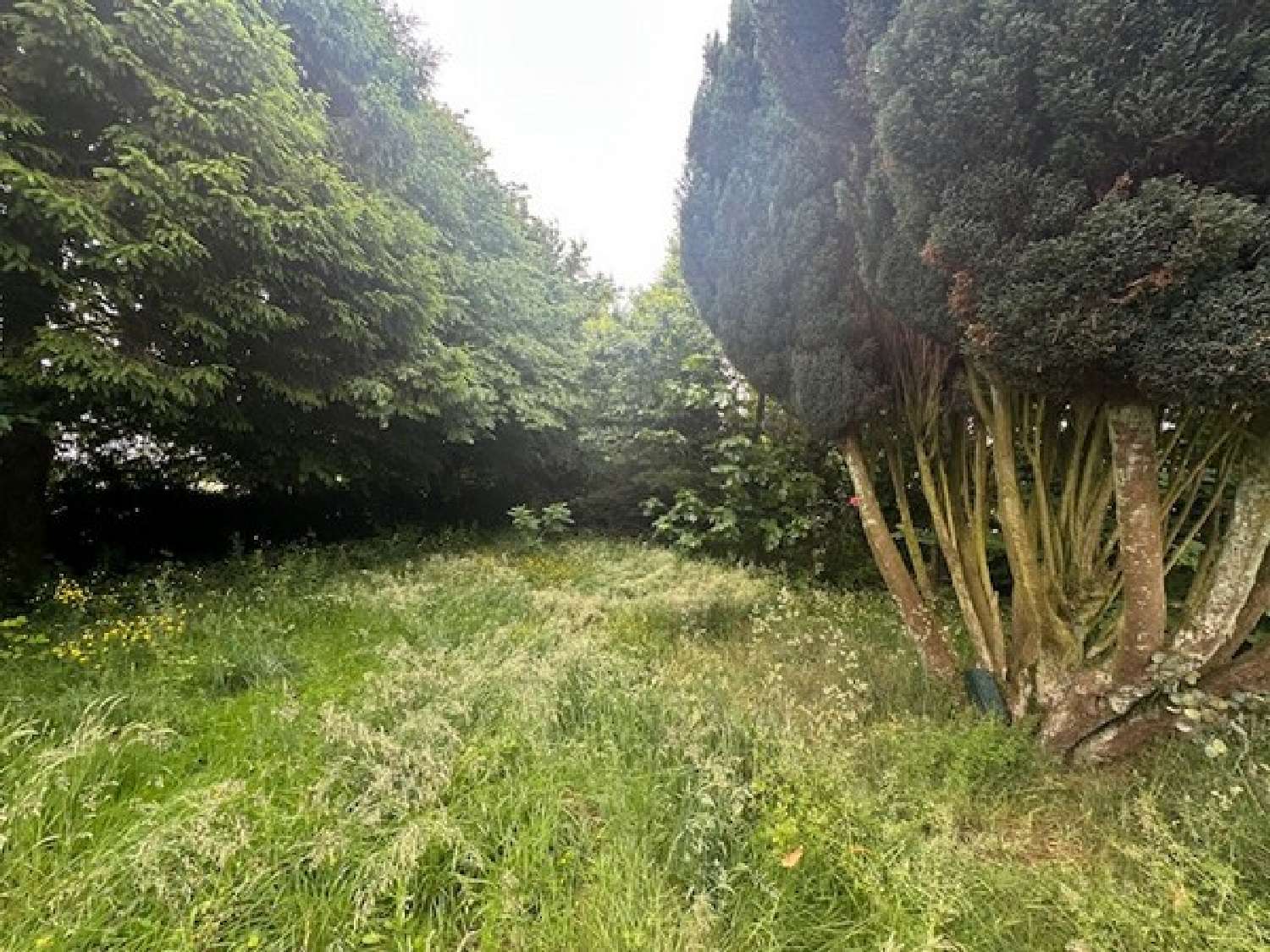 à vendre maison Bradiancourt Seine-Maritime 8