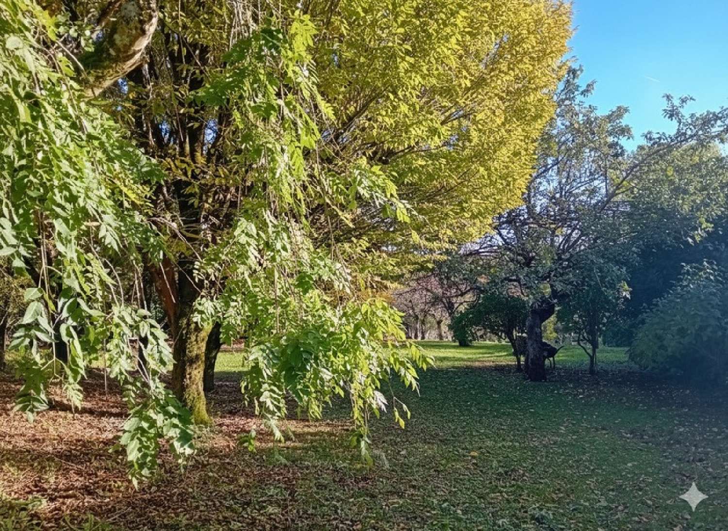 à vendre maison Brie Charente 8
