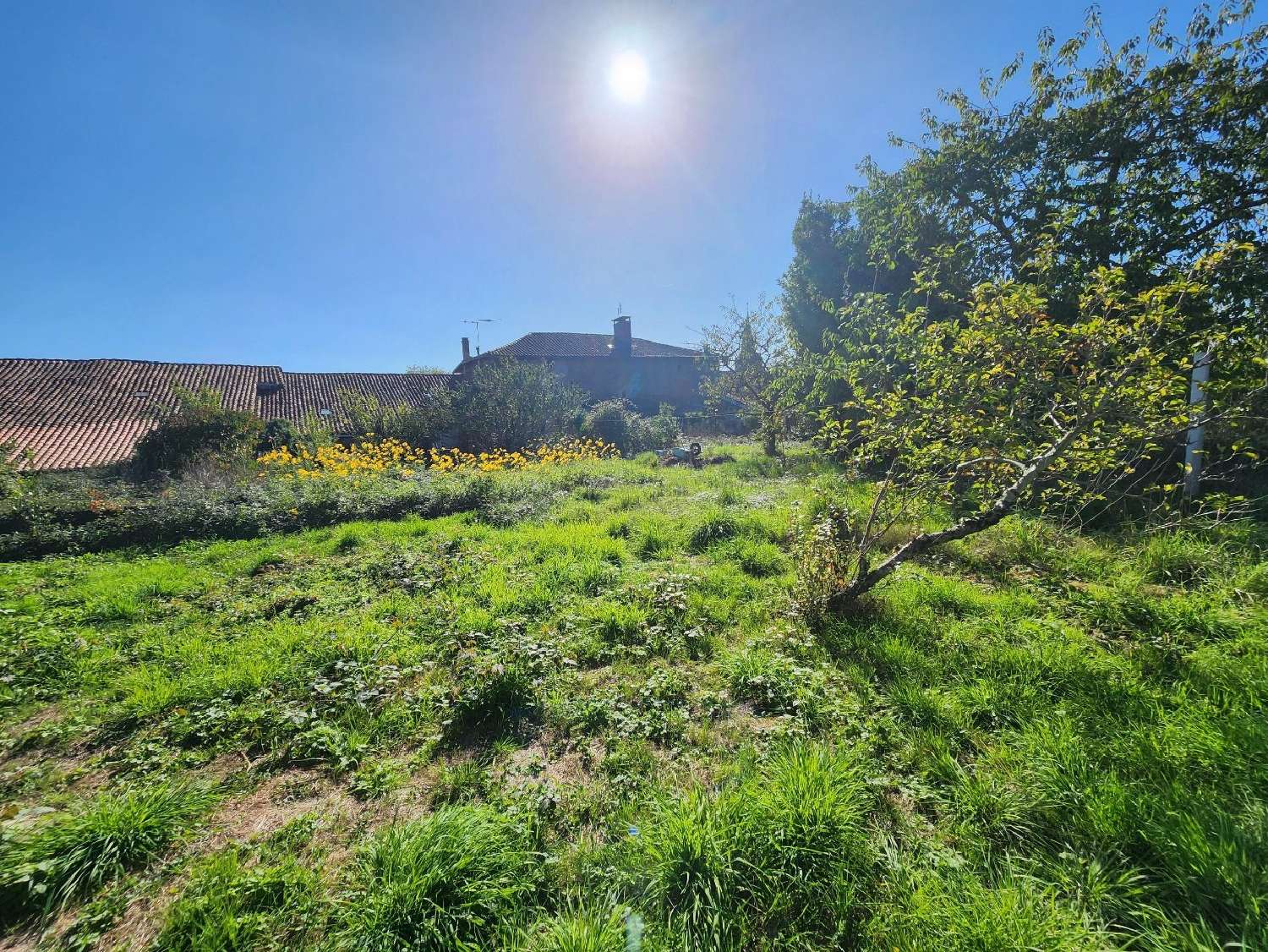  te koop huis Brillac Charente 2