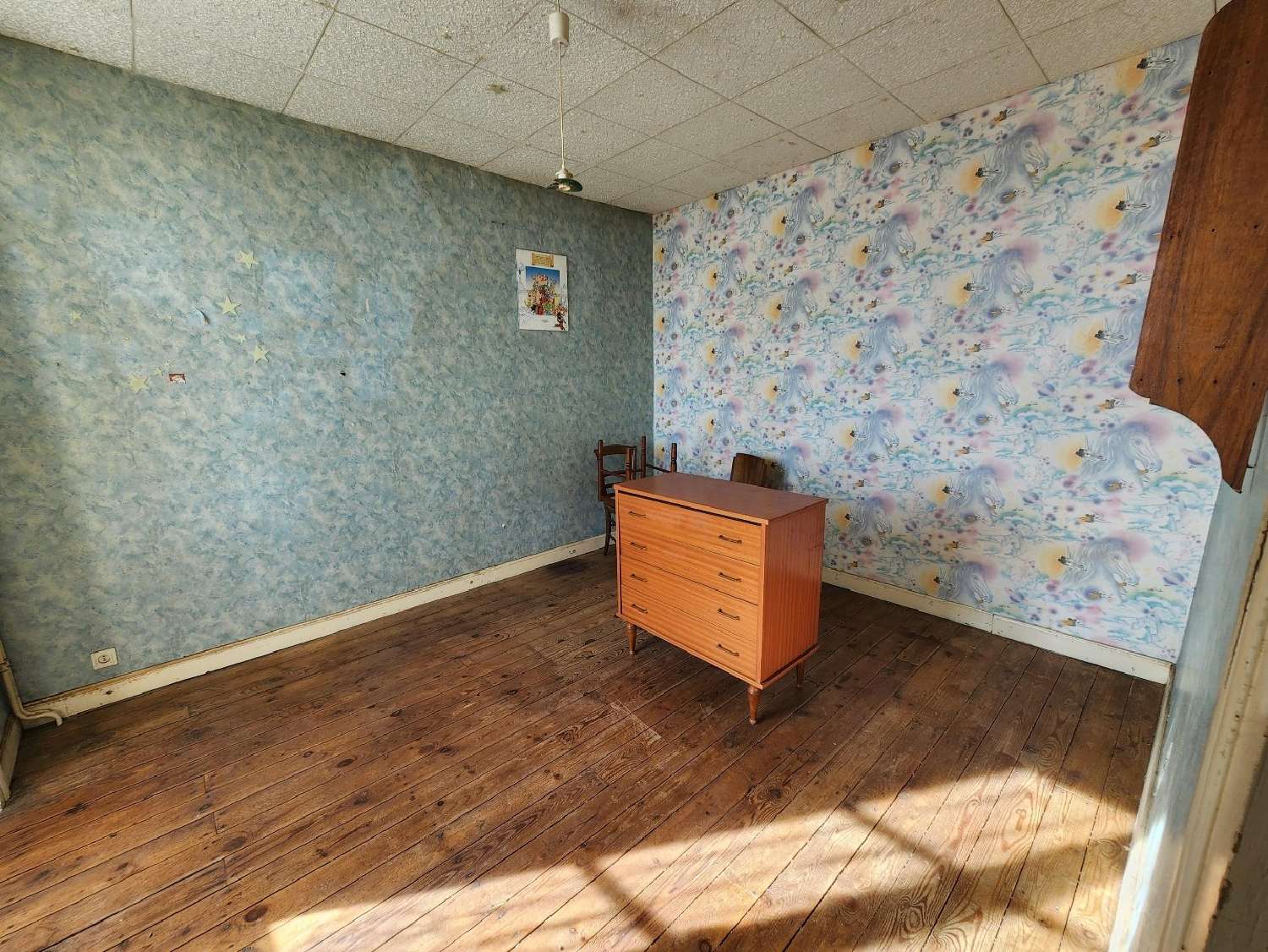  te koop huis Brillac Charente 8