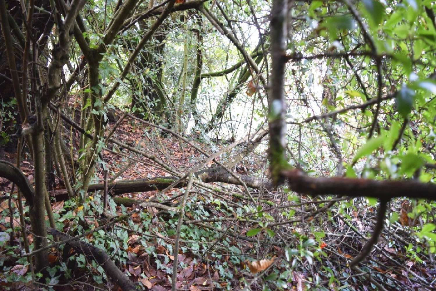 à vendre maison Bubry Morbihan 6