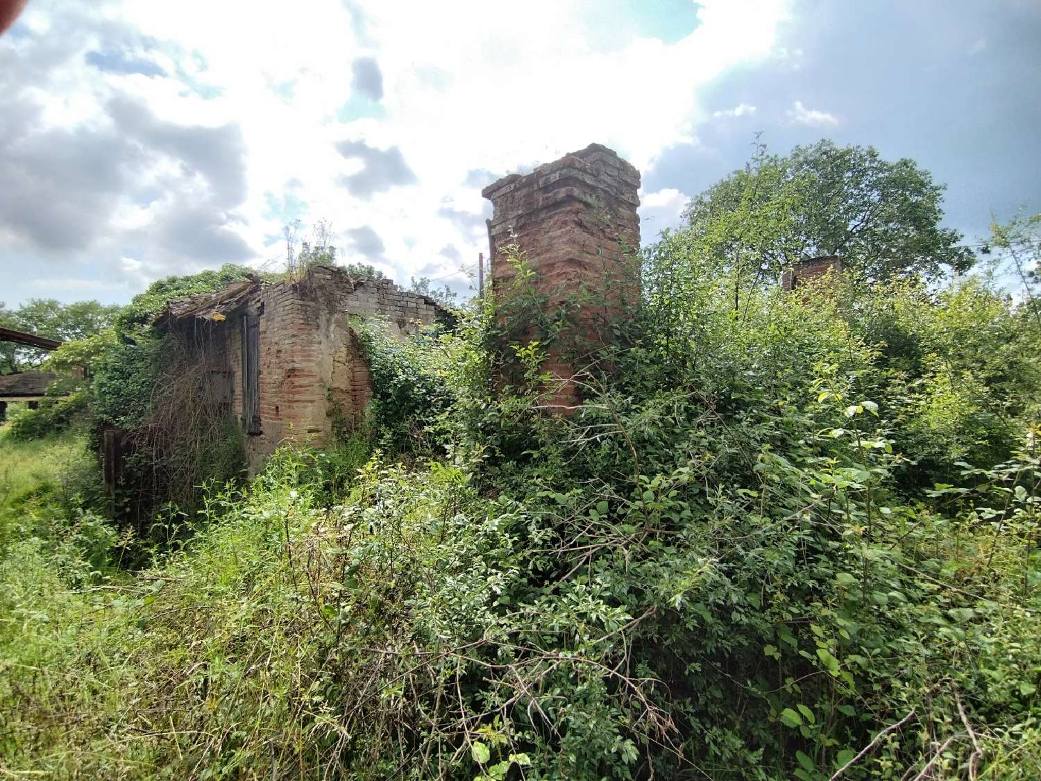  te koop huis Canals Tarn-et-Garonne 1