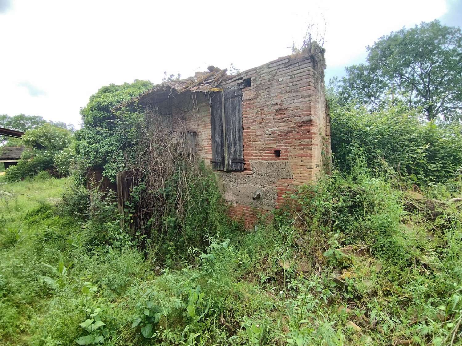  te koop huis Canals Tarn-et-Garonne 4