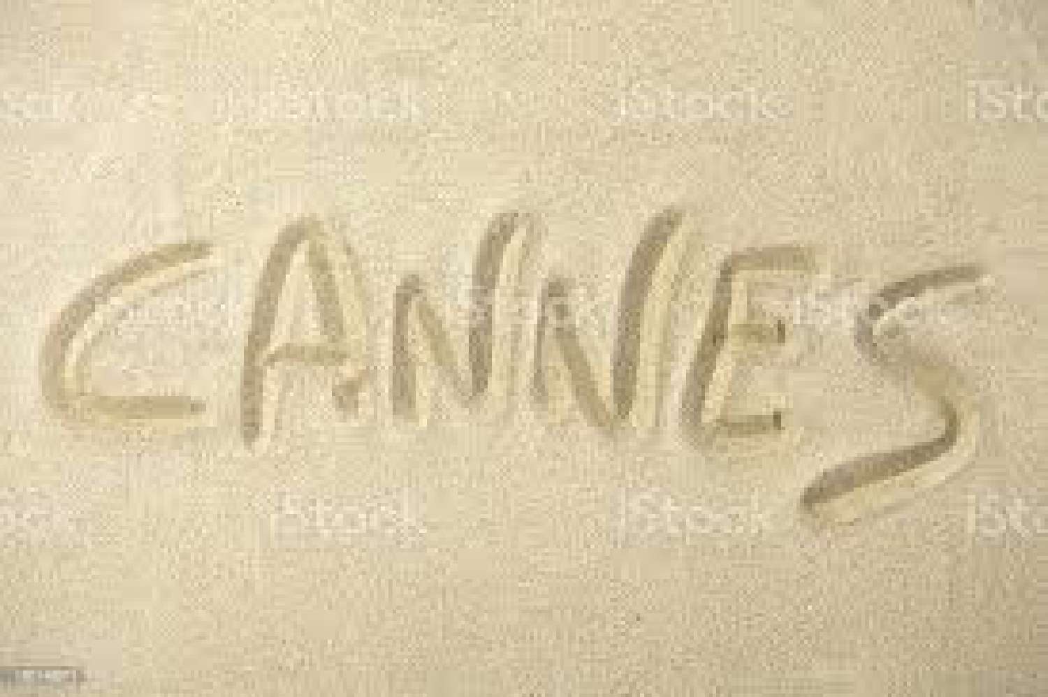 for sale house Cannes Alpes-Maritimes 1