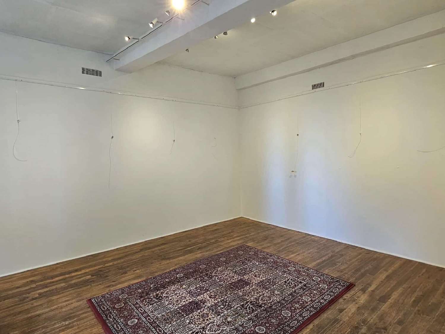  te koop huis Carla-Bayle Ariège 6