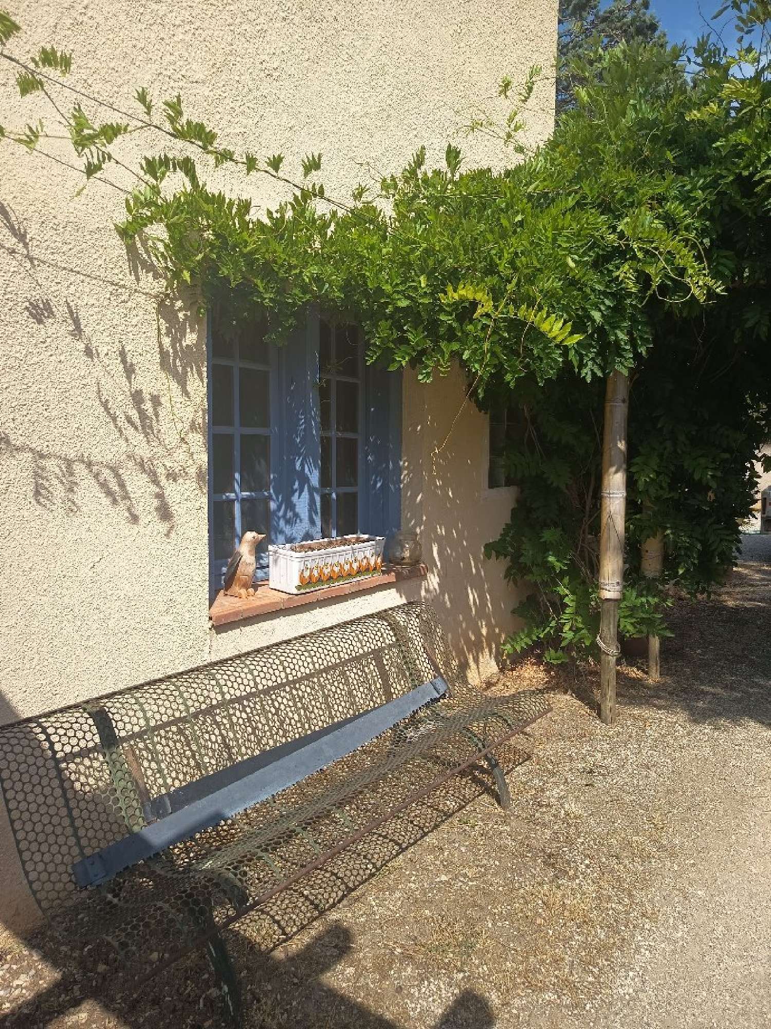  for sale house Cascastel-des-Corbières Aude 3